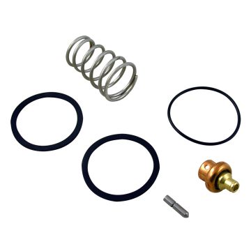 Bradley S45-049 Thermostatic Mixing Valve Repair Kit (Discontinued)