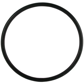 Bradley 269-031 O-Ring