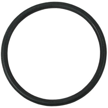 Chicago 80-007JKNF O-Ring (Discontinued)