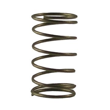 Fisher 2000-6000 Spring Check Valve