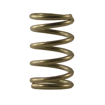 Fisher 2912-6000 Spring Spray Valve