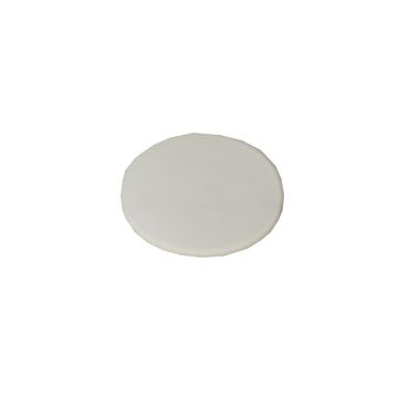 Sloan G-106 Slip Disc
