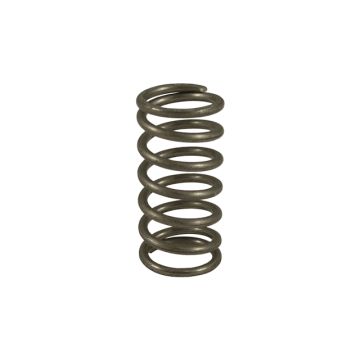 Bradley 135-001P Foot Valve Spring