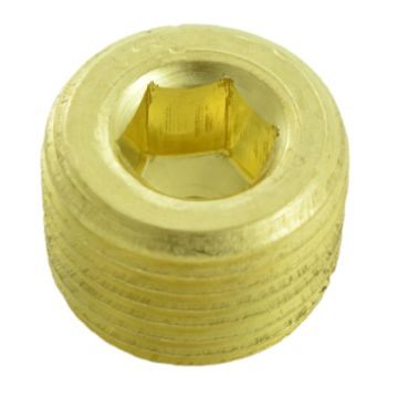 Bradley 169-168 1/2" Brass Pipe Plug