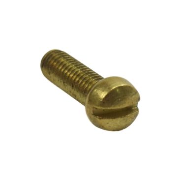 Bradley 169-256 Screws