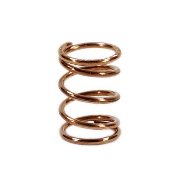 T&S Brass 000894-45M Spring (Qty 25)