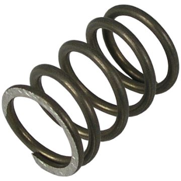 T&S Brass 000895-45 008A Bonnet Spring