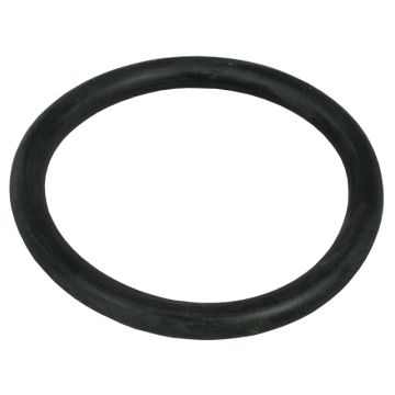 T&S Brass 010389-45 Plunger O-Ring