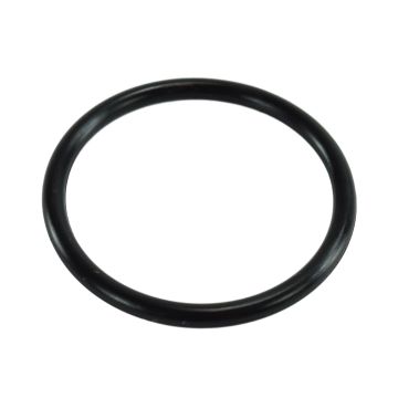 Zurn P6000-C31-BAG O-Ring For Tailpiece