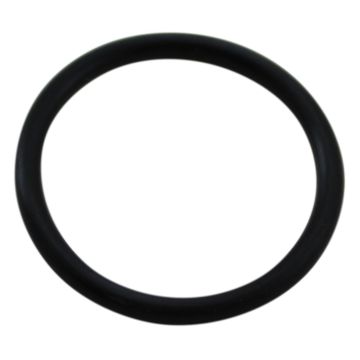 Wilkins 121N O-Ring Relief Valve (1-1/4")
