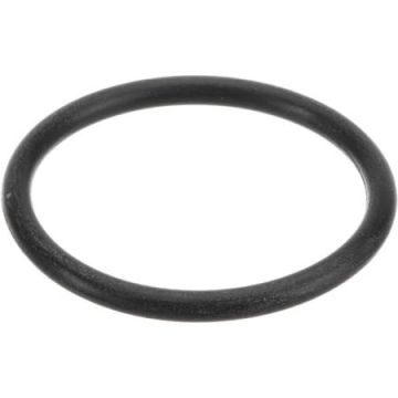 Fisher 73568 O-Ring Spout