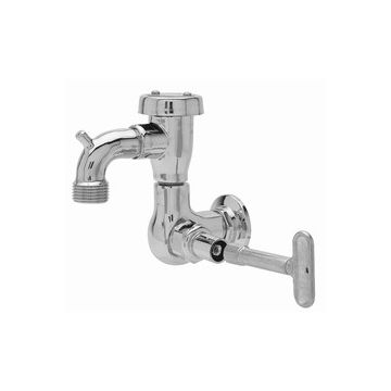 Fisher 29548 Faucet