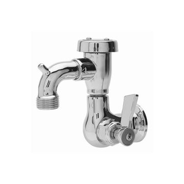 Fisher 29556 Faucet 