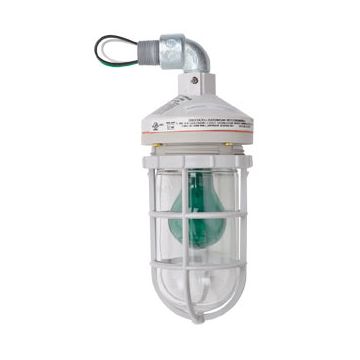 Haws 8317LT Watertight Green Area Light Kit for Continuous Illumination