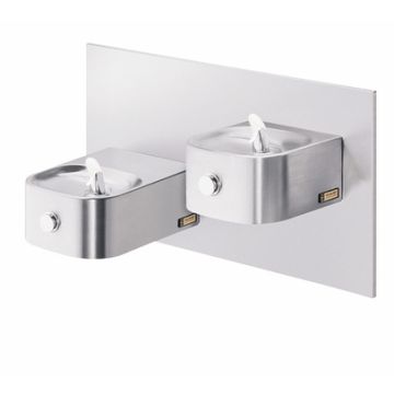 Elkay EDFP217FPRAK Freeze Resistant, NON-REFRIGERATED In-Wall Dual Drinking Fountain with Vandal-Resistant Bubbler