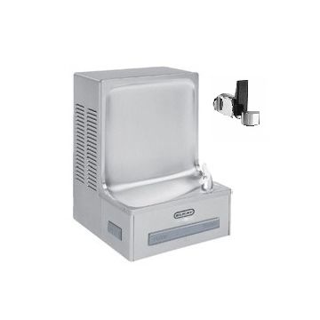 Elkay EHFSADSF NON-REFRIGERATED Drinking Fountain w/ Glass Filler