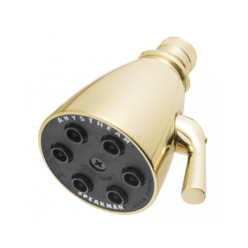 Speakman SD-02-AF-PBL 6 Jet Anystream Showerhead - Polished Brass