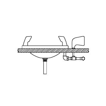 Speakman SE-460 Countertop-Mounted Eye/Face Wash (with Stainless Steel Receptor)