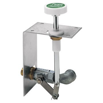Haws SP256 Push-Down Handle and Valve Assembly