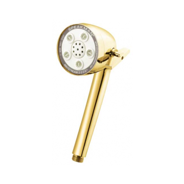 Speakman VS-2000-BB-BP 5-Jet Anystream 2000 Handheld Showerhead - Bright Brass (Discontinued)