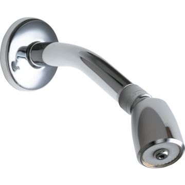 Chicago 620-ACP Shower Head and Arm