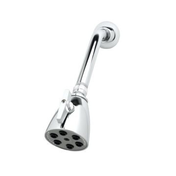 T&S Brass B-1091 Shower Head 