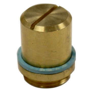 Speakman RPG07-0004 Cap and Gasket Kit